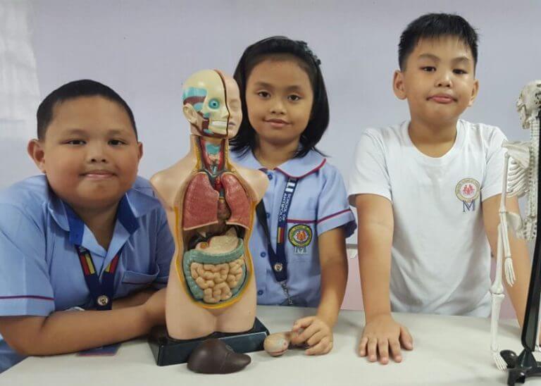 image-0-02-06-c2fe991ea4f9cd96bcaeb35daadc433e09f23bf7397c192c76b21121c651e0ea-V image 0 02 06 c2fe991ea4f9cd96bcaeb35daadc433e09f23bf7397c192c76b21121c651e0ea V