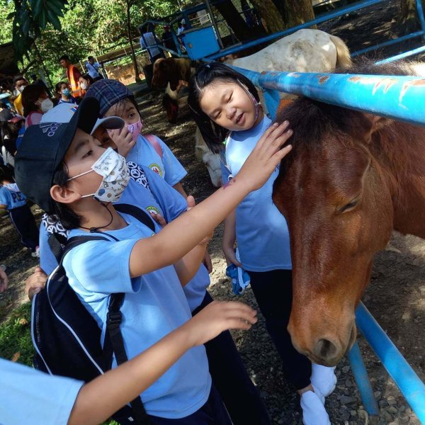 Marcelli School Grade School 4