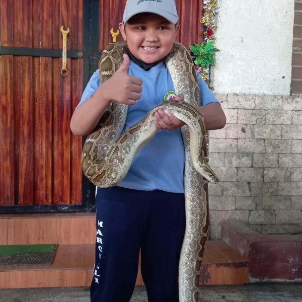 Marcelli School Grade School 6