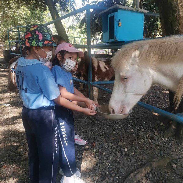 Marcelli School of Antipolo Preschool 11